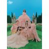 POSTER RED VELVET OFFERT